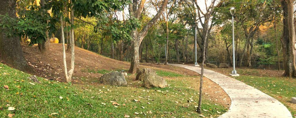árboles urganos en un parque en Costa Rica