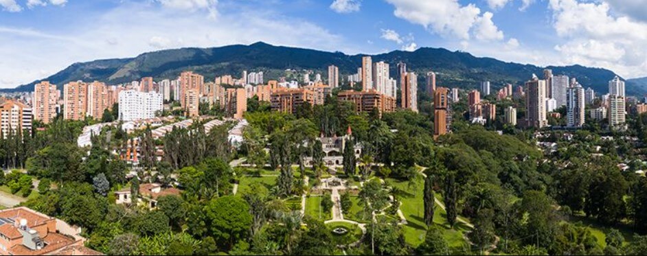 arboles urbanos en la ciudad de Medellín